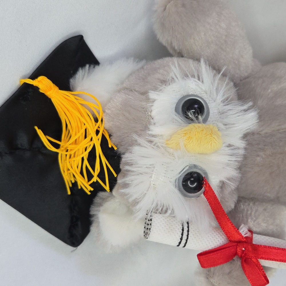 Graduation Owl plush Dandee bird cap with diploma Grad Gift 7" - Picture 4 of 11